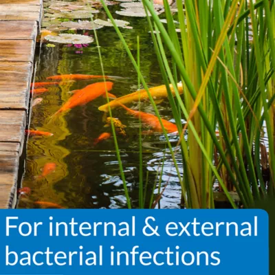 Product PI® Pond Pimafix Fungal Infection Treatment