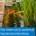 PI® Pond Pimafix Fungal Infection Treatment image thumbnail 4