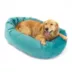 Majestic Pet Personalized Velvet Bagel Cat & Dog Bed image thumbnail 2