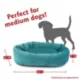Product Majestic Pet Personalized Velvet Bagel Cat & Dog Bed