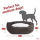 Product Majestic Pet Personalized Velvet Sherpa Bagel Cat & Dog Bed