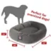 Majestic Pet Personalized Suede Bagel Cat & Dog Bed image thumbnail 5