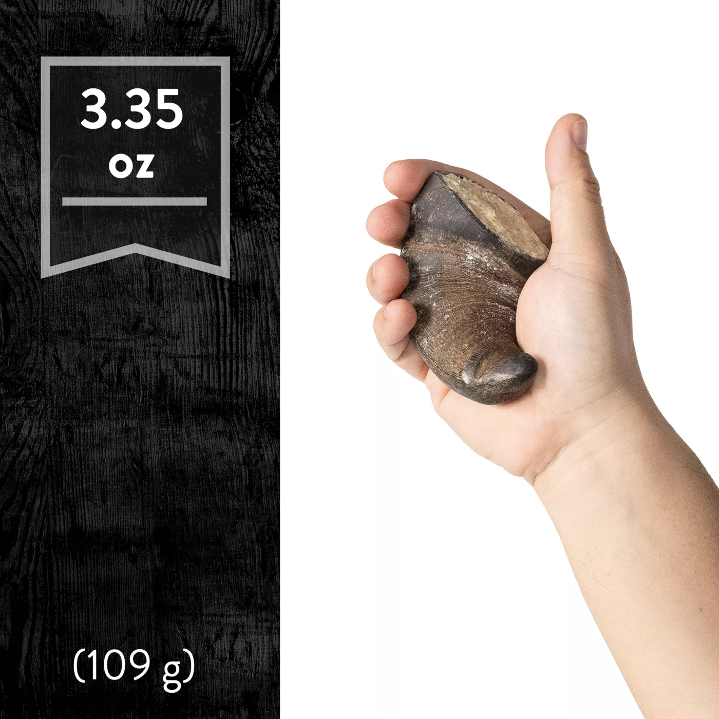 Dentley's buffalo horn sales