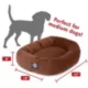 Product Majestic Pet Personalized Suede Bagel Cat & Dog Bed