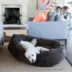 Majestic Pet Personalized Suede Bagel Cat & Dog Bed image thumbnail 8