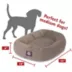 Majestic Pet Personalized Suede Bagel Cat & Dog Bed image thumbnail 4
