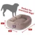Majestic Pet Personalized Suede Bagel Cat & Dog Bed image thumbnail 4