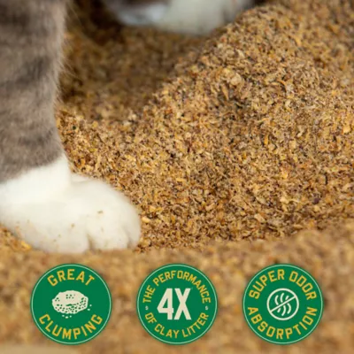 Product Catalyst Clumping Upcycled Soft Wood Cat Litter - Scented, Lightweight, Low Dust, Natural