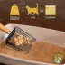 Catalyst Clumping Upcycled Soft Wood Cat Litter - Scented, Lightweight, Low Dust, Natural image thumbnail 4