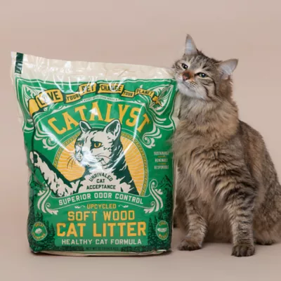 Product Catalyst Clumping Upcycled Soft Wood Cat Litter - Scented, Lightweight, Low Dust, Natural