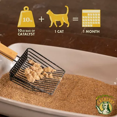 Product Catalyst Clumping Multi-Cat Upcycled Soft Wood Cat Litter - Scented, Lightweight, Low Dust, Natural