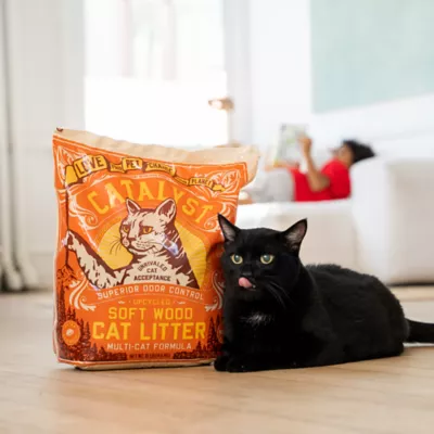 Product Catalyst Clumping Multi-Cat Upcycled Soft Wood Cat Litter - Scented, Lightweight, Low Dust, Natural