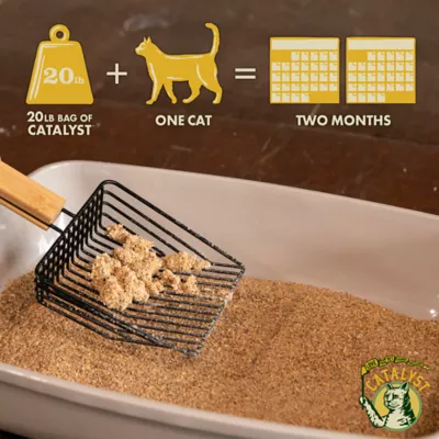 Product Catalyst Clumping Upcycled Soft Wood Cat Litter - Scented, Lightweight, Low Dust, Natural