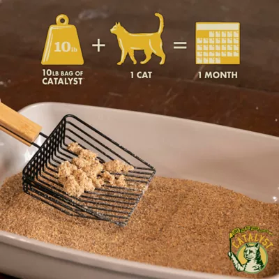 Product Catalyst Clumping Upcycled Soft Wood Cat Litter - Unscented, Lightweight, Low Dust, Natural