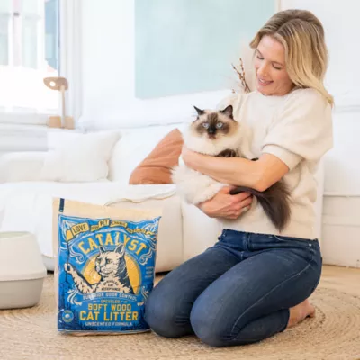 Product Catalyst Clumping Upcycled Soft Wood Cat Litter - Unscented, Lightweight, Low Dust, Natural