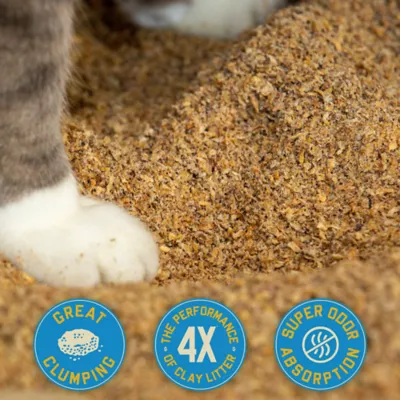 Product Catalyst Clumping Upcycled Soft Wood Cat Litter - Unscented, Lightweight, Low Dust, Natural