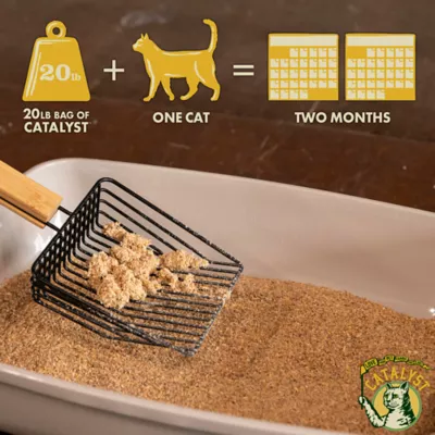 Product Catalyst Clumping Upcycled Soft Wood Cat Litter - Unscented, Lightweight, Low Dust, Natural