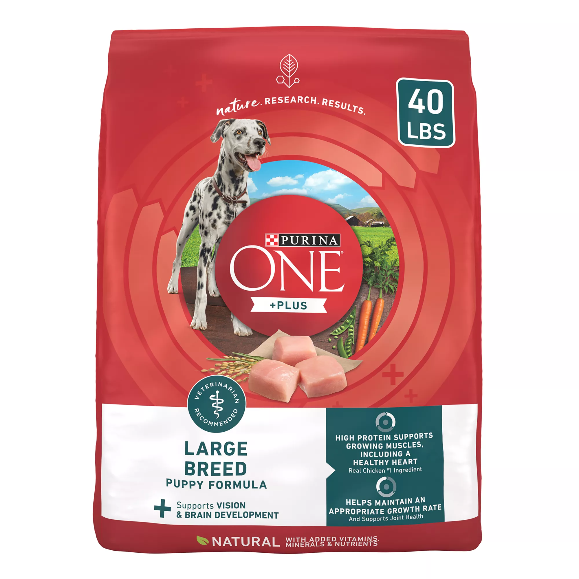 Purina ONE® +Plus Large Breed Puppy Dog Dry Food - Chicken, High-Protein, Antioxidants