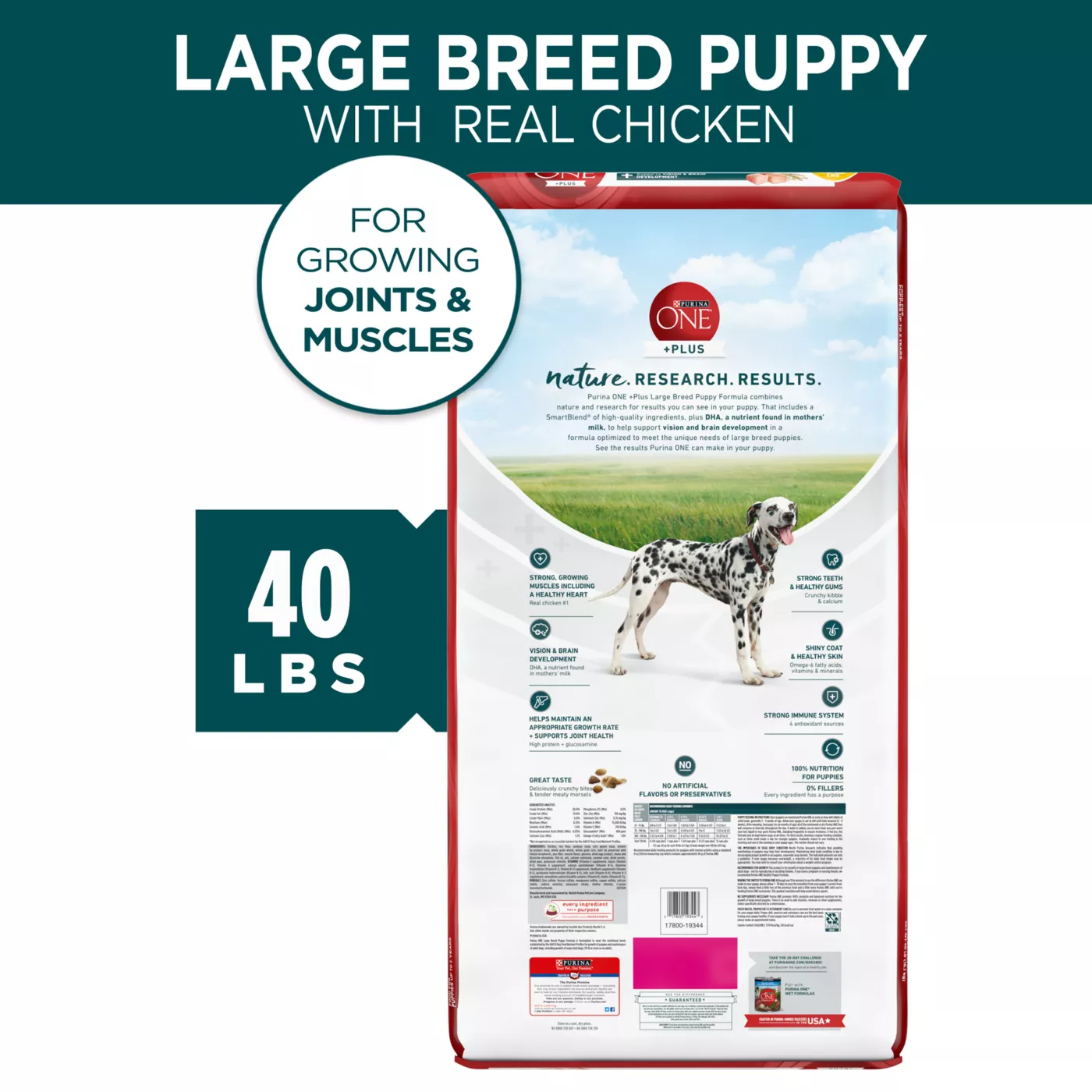 Purina ONE Plus Large Breed Puppy Dog Dry Food Chicken High Protein Antioxidants