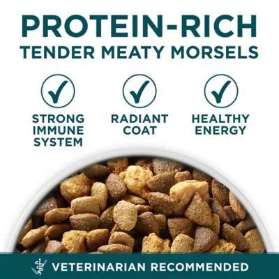 Product Purina ONE® +Plus Large Breed Puppy Dog Dry Food - Chicken, High-Protein, Antioxidants