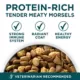 Product Purina ONE® +Plus Large Breed Puppy Dog Dry Food - Chicken, High-Protein, Antioxidants