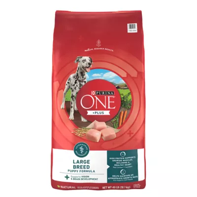 Product Purina ONE® +Plus Large Breed Puppy Dog Dry Food - Chicken, High-Protein, Antioxidants