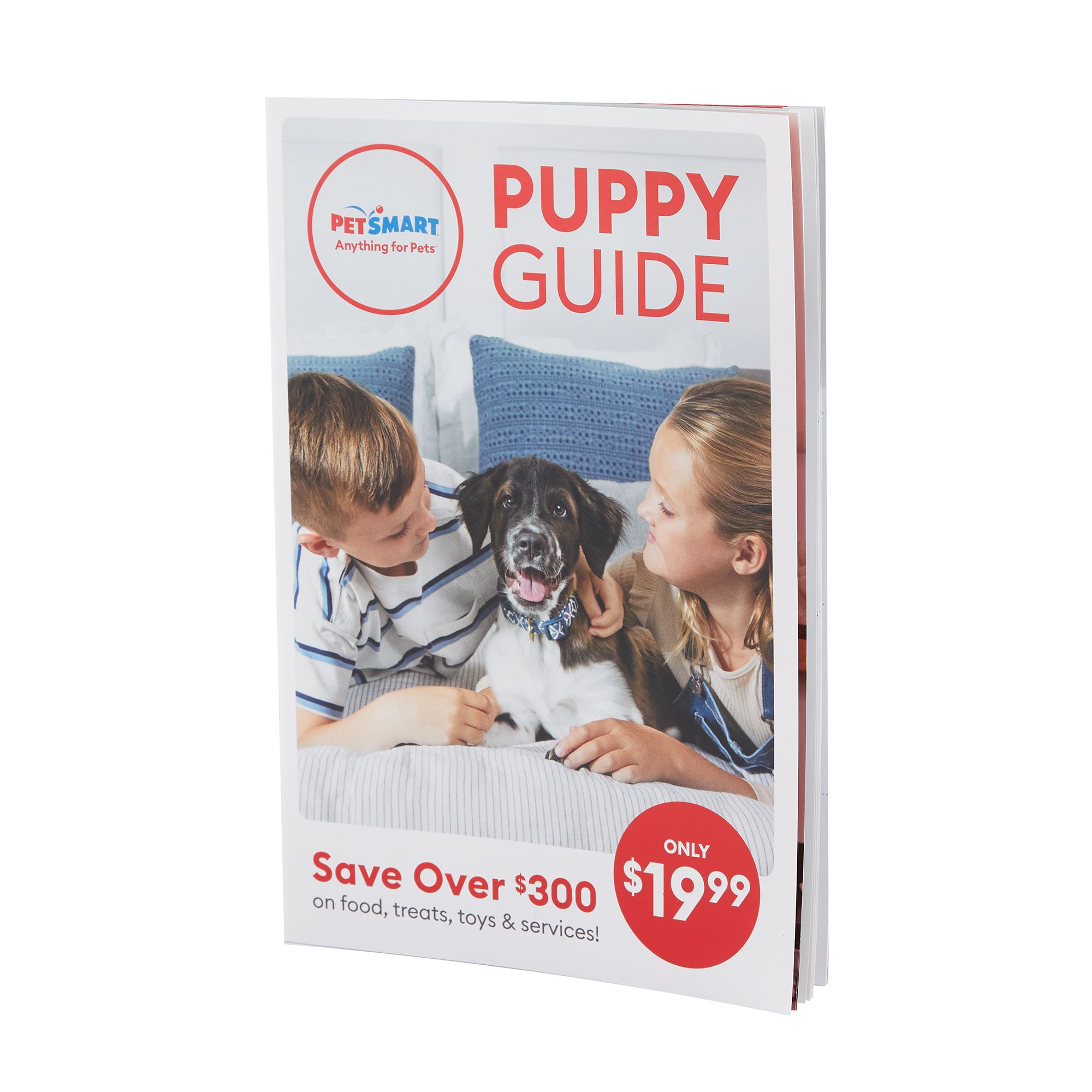 Dog Grooming Classes At Petsmart - udrw037