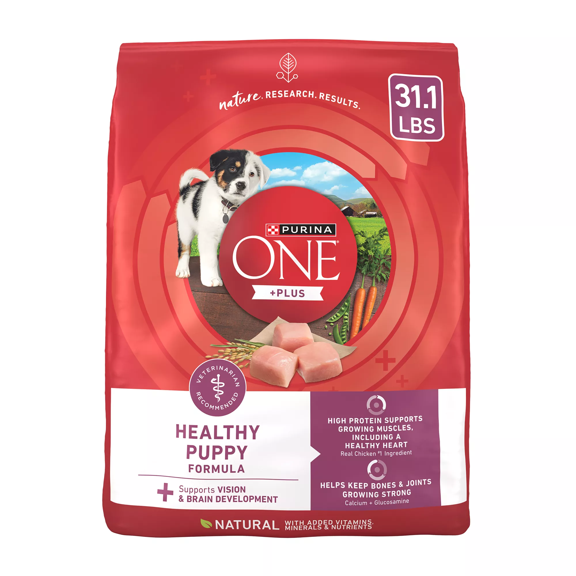 Purina ONE® +Plus Puppy Dog Dry Food - Chicken, Natural, High-Protein