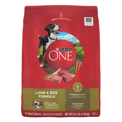 Product Purina ONE® SmartBlend Everyday Nutrition Adult Dog Dry Food - Lamb, High-Protein