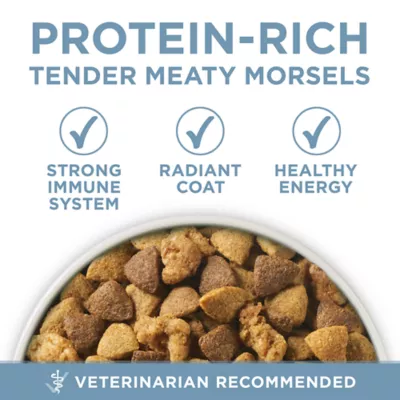 Product Purina ONE® +Plus Adult Dog Dry Food - Chicken, No Artificial Colors, No Artificial Flavors