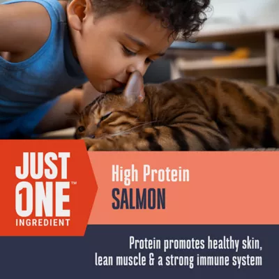 Product Whole Life Pet Just One Ingredient Freeze Dried Cat Treats - High Protein, Salmon, 2.5 oz