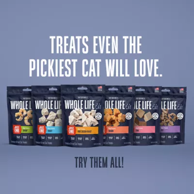 Product Whole Life Pet Just One Ingredient Freeze Dried Cat Treats - High Protein, Salmon, 2.5 oz