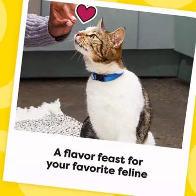 Product Temptations™ Mixups Cat Treats - Soft & Crunchy, Catnip Fever