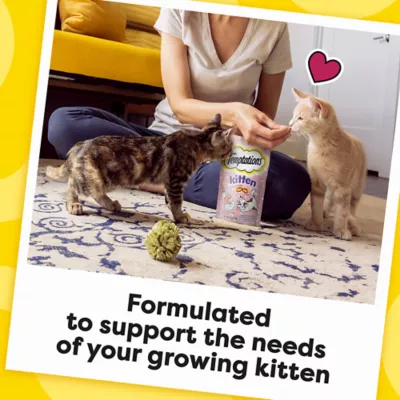 Product Temptations™ Classic Kitten Cat Treat - Dairy & Salmon