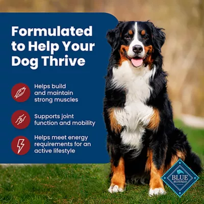 Product Blue Buffalo® Life Protection Formula™  Small Breed Adult Dry Dog Food - Beef