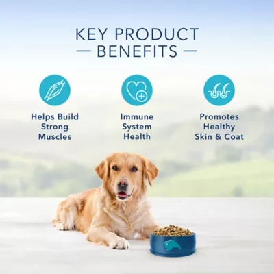 Product Blue Buffalo® Life Protection Formula™ Adult Dry Dog Food - Natural, Beef