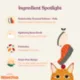 Product Made By Nacho™ Pate All Life Stage Wet Cat Food - Natural, 3 oz