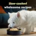 Cesar® Wholesome Bowls All Life Stage Wet Dog Food & Meal Topper - 3 Oz. image thumbnail 3