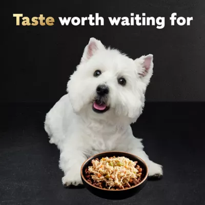 Petsmart cesar dog food best sale