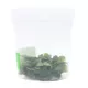 Product Top Fin® Live Bucephalandra Aquarium Plant