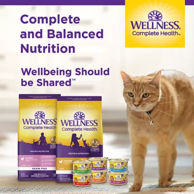 Product Wellness® Complete Health Kitten Wet Cat Food Pate - 3 oz, Natural, Grain Free