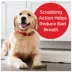 Milk-Bone Brushing Chews Large All Life Stage Dog Treat - Fresh image thumbnail 5