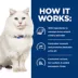 Hill's® Prescription Diet® Urinary Care c/d Multicare Stress Cat Food - Ocean Fish image thumbnail 6