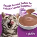 Purina® Friskies® Lil' Shakes Adult Wet Cat Food Complement - 1.55 oz image thumbnail 4