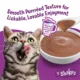 Product Purina® Friskies® Lil' Shakes Adult Wet Cat Food Complement - 1.55 oz