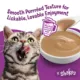 Product Purina® Friskies® Lil' Shakes Adult Wet Cat Food Complement - 1.55 oz