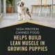 Product Purina Pro Plan Sport High Protein Puppy Wet Dog Food - Beef & Rice, 13 oz