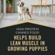 Product Purina Pro Plan Sport High Protein Puppy Wet Dog Food - Beef & Rice, 13 oz