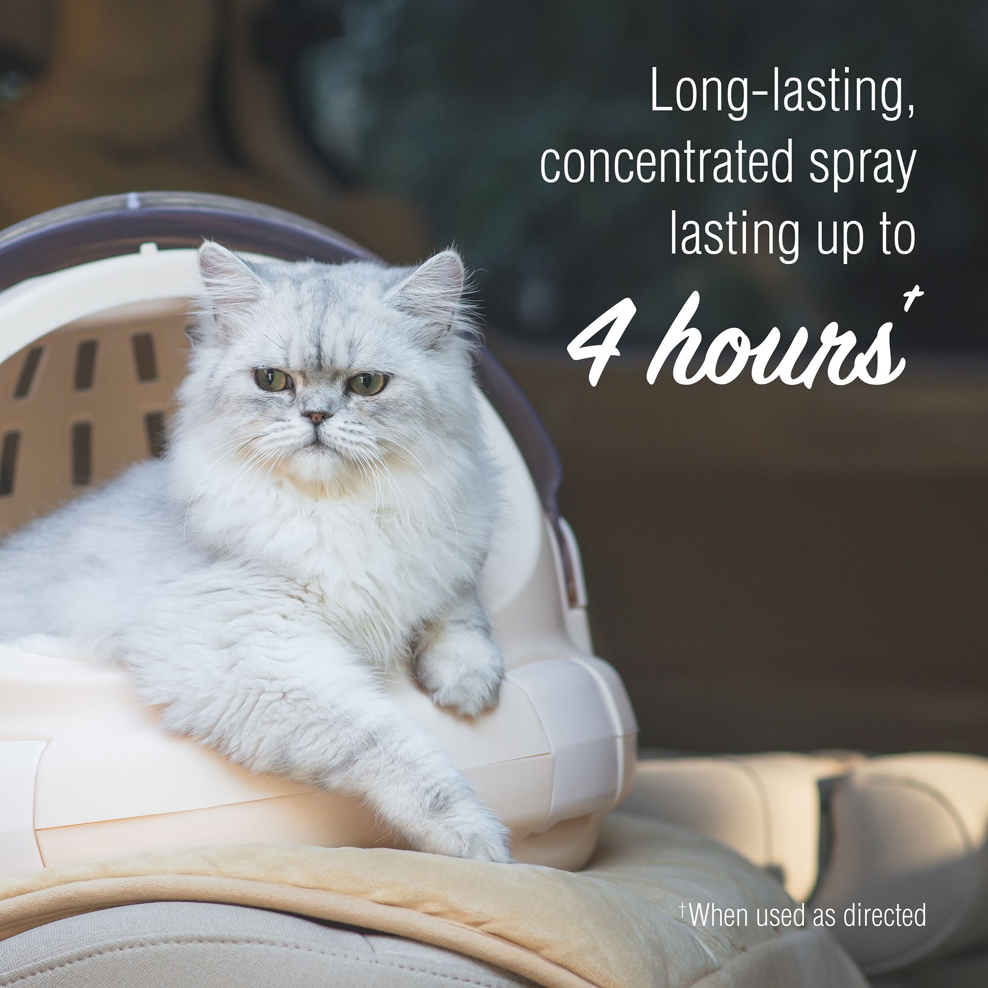 Nature's Miracle® Advanced Platinum Cat Calming Spray, 8 fl oz - thumbnail 5