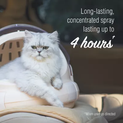 Natural cat calming products hotsell